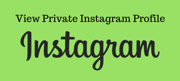 Instagram private profile viewer no verification search
